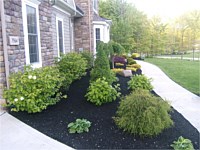 New Lawn & Plant Bed Installations